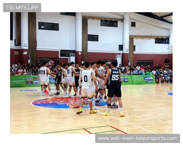 中国篮球运动在乡村学校中的普及动力与阻碍因素，篮球运动在农村的发展现状